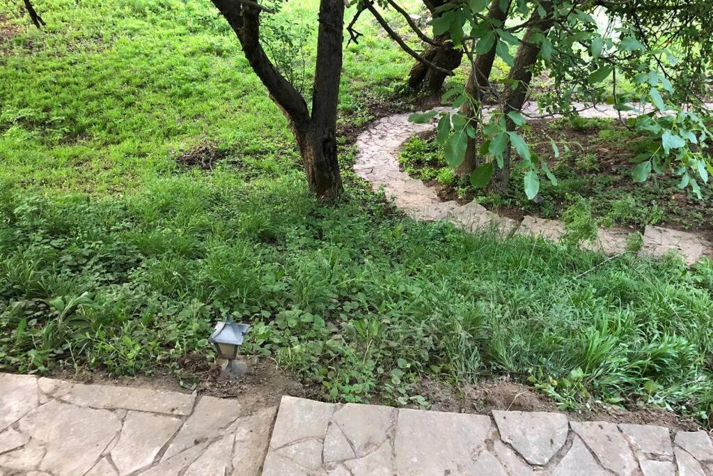 Villa Kornelija Stari Slankamen Ngoại thất bức ảnh