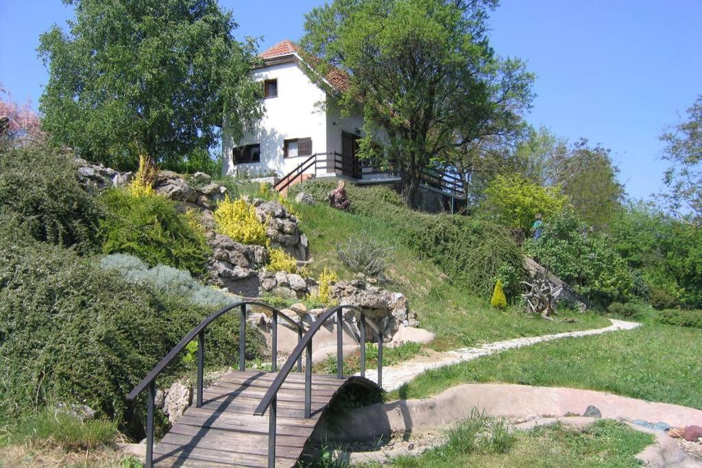 Villa Kornelija Stari Slankamen Ngoại thất bức ảnh