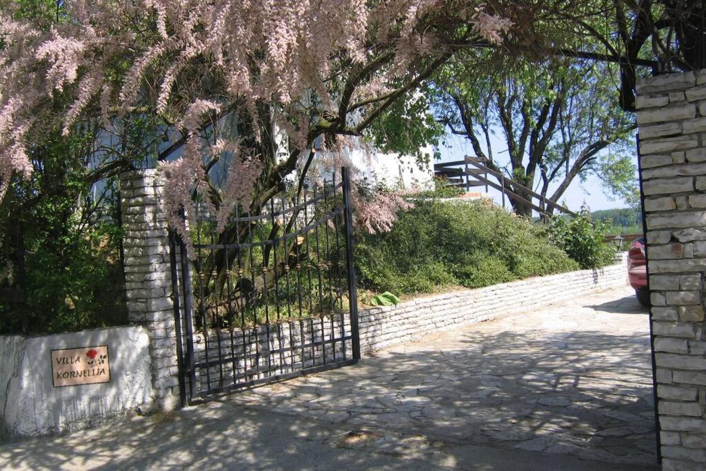 Villa Kornelija Stari Slankamen Ngoại thất bức ảnh