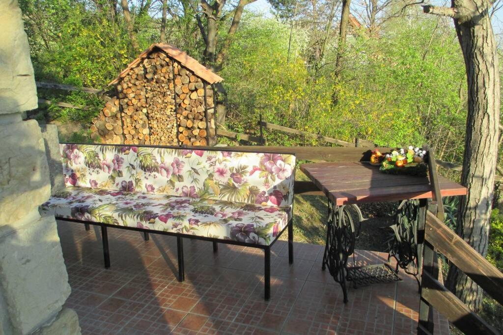 Villa Kornelija Stari Slankamen Ngoại thất bức ảnh